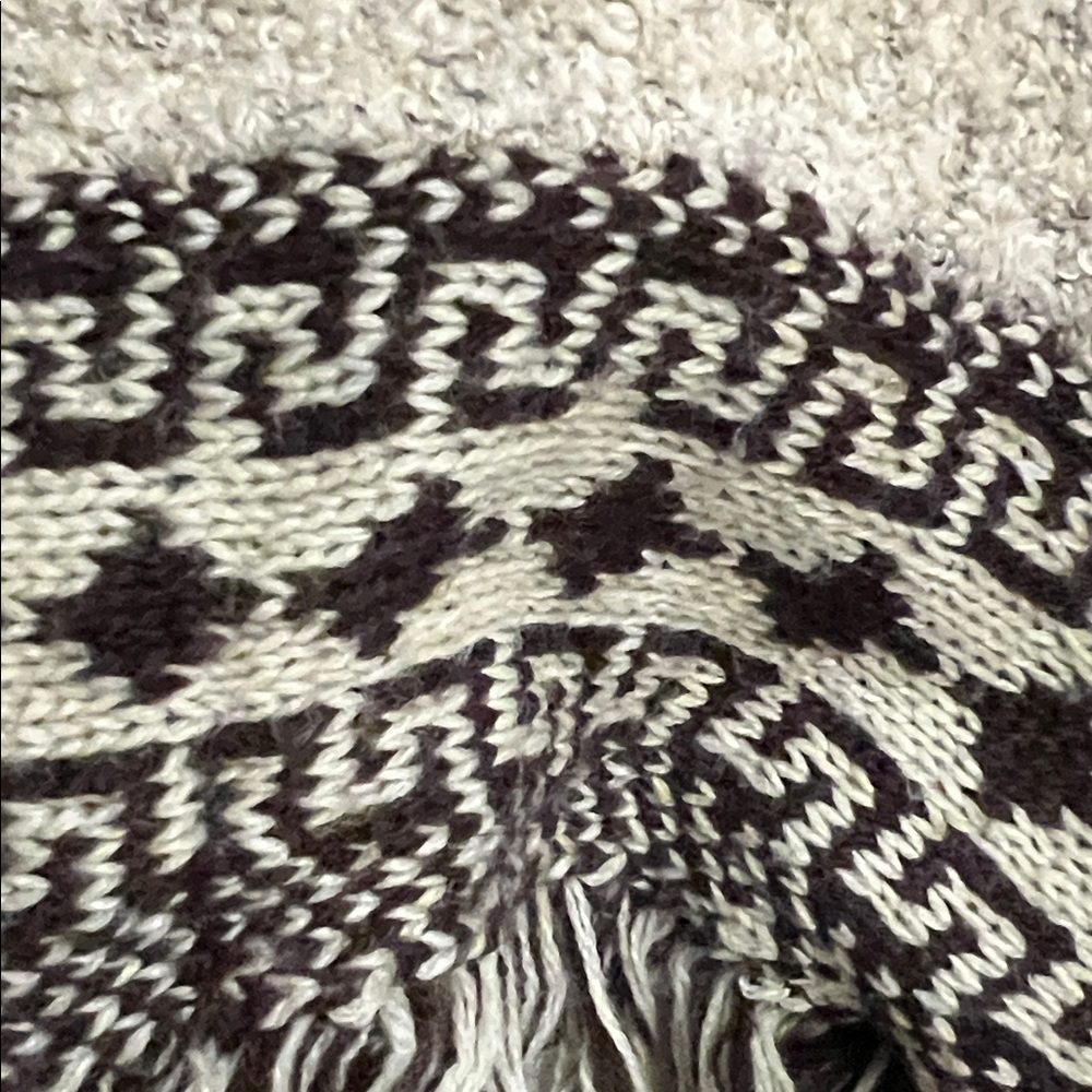Elegant Beige Fringed Poncho - Picture 4 of 5